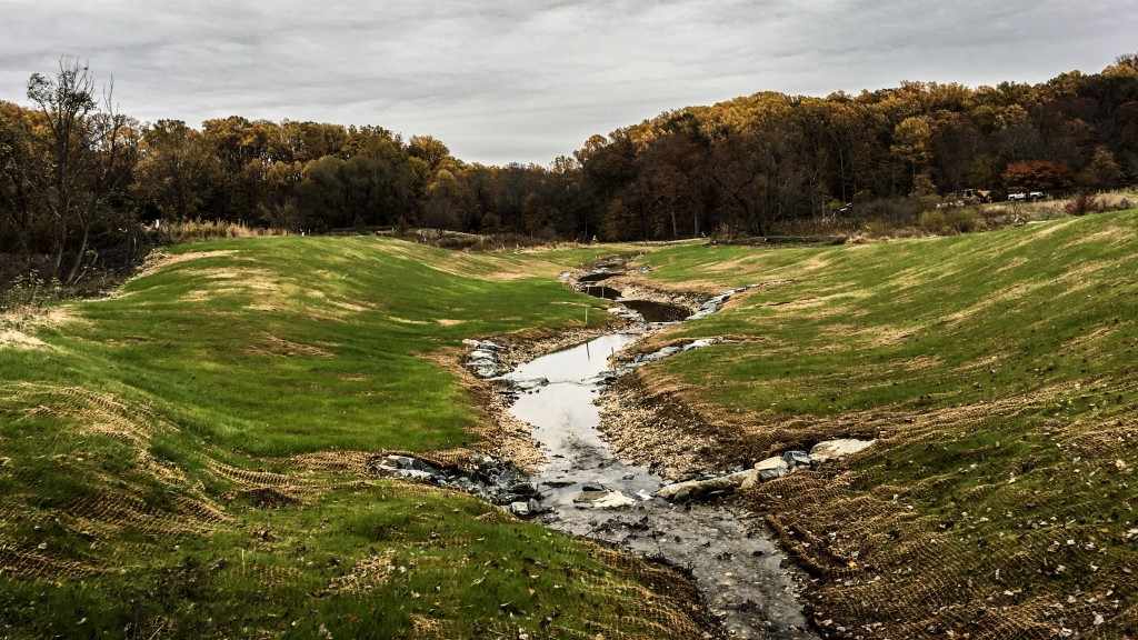 Stream Restoration & Wetland Mitigation